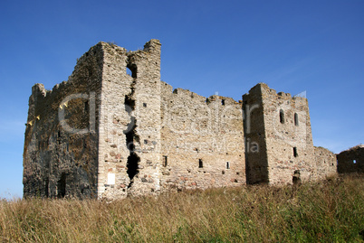 Ruins of a castle