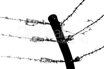 shadow barb wire 3