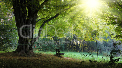 harvest bench