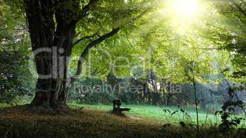 harvest bench