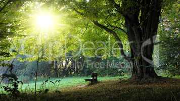 harvest bench