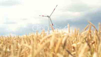 windmill in cornfield