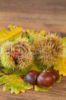 chestnuts