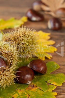 chestnuts