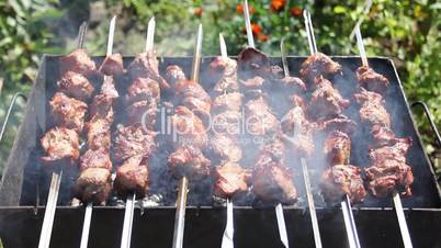 shashlik roasting in grill