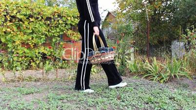 legs woman goes with basket of grapes