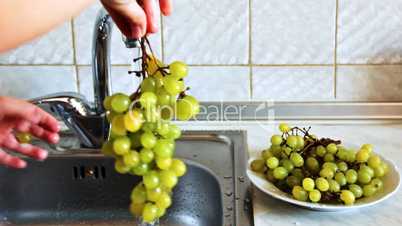 hands of teen girl wash green grapes