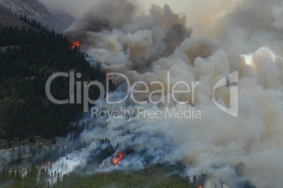 Forest Fire in the Rocky Mountains 11