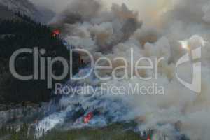 Forest Fire in the Rocky Mountains 11
