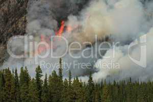 Forest Fire in the Rocky Mountains 15