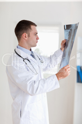 Doctor having a close look at x-ray