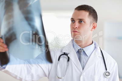 Doctor having a serious look at x-ray