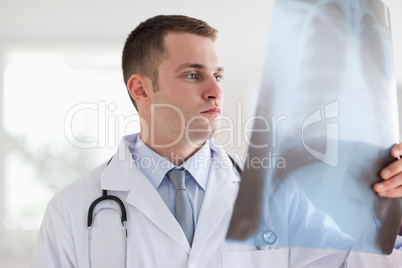 Doctor with x-ray photograph