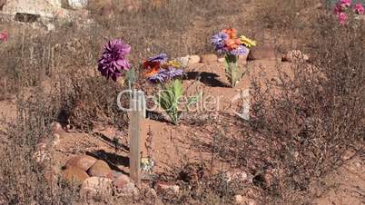 grave cemetery pioneer over grown weeds P HD 0241