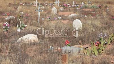 Cemetery old weed cross headstone P HD 0240