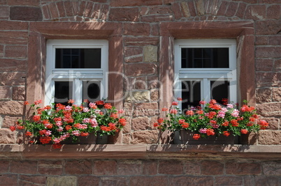 Fenster eines Hauses in Bürgstadt