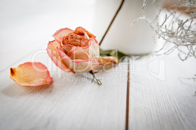 Getrocknete Rosenblüte - Dried Rose Blossom