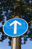Verkehrszeichen Geradeaus - Keep Straight Traffic Sign