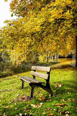 Parkbank im Herbst HDR 2