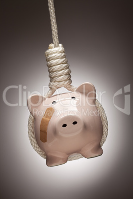 Piggy Bank with Bandage Hanging in Hangman's Noose