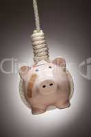 Piggy Bank with Bandage Hanging in Hangman's Noose
