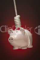 Piggy Bank Hanging in Hangman's Noose on