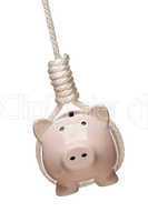 Piggy Bank Hanging in Hangman's Noose on White