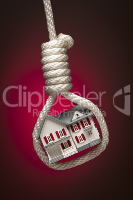House Tied Up and Hanging in Hangman's Noose on Red