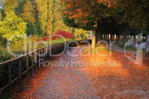 Weg in Frankfurt am Main zur Herbstzeit mit bunten Blättern