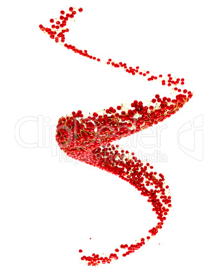 Fruit crop: Red cherry flow isolated on white