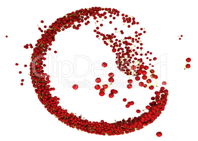 Sweet red cherry flow isolated on white
