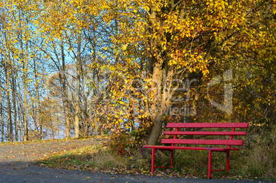 Herbst Farben Laub Bank