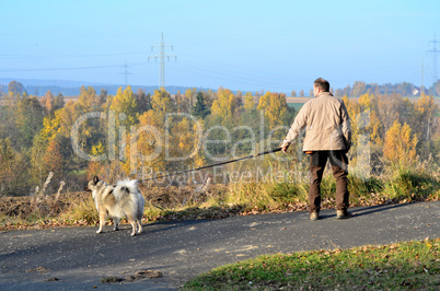 Hund Wolfsspitz Mann Herbst