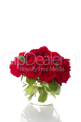 Bouquet of red roses