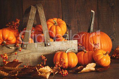 Colorful pumpkins with wood background
