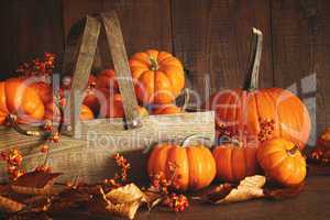 Colorful pumpkins with wood background