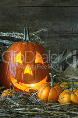 Scarved jack-o-lantern lit for halloween