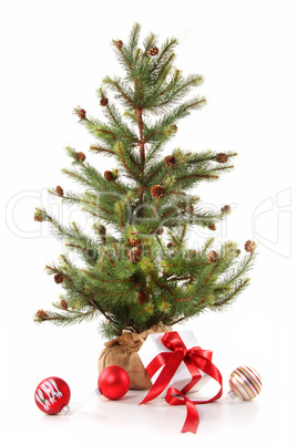 Little christmas tree with red ribboned gifts on white