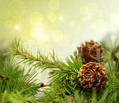 Pine cones on branches with holiday background