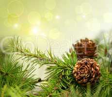 Pine cones on branches with holiday background