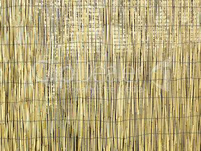 Bamboo background