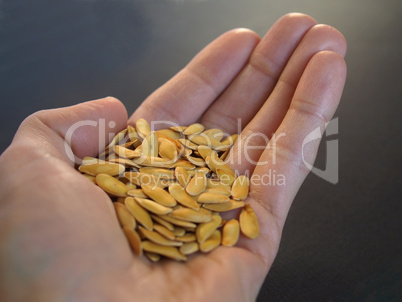 Melon seeds