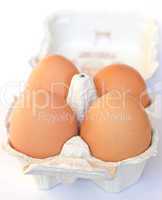 Eggs picture