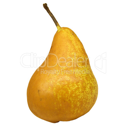 Pear picture