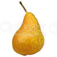 Pear picture