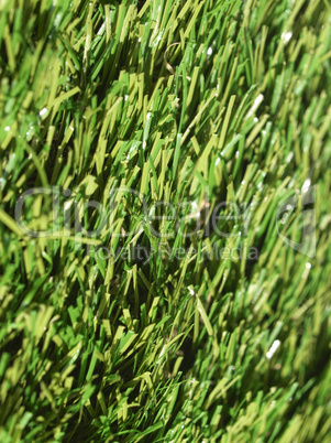 Artificial grass