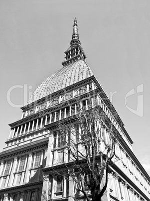 Mole Antonelliana, Turin