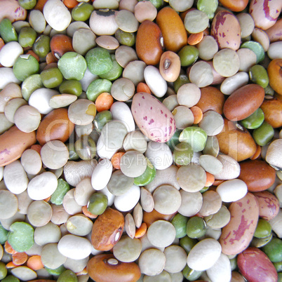 Beans salad