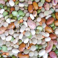 Beans salad