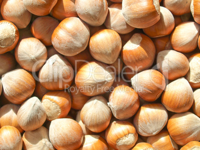 Hazelnuts picture